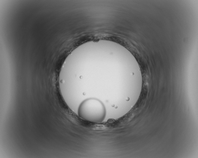 X0000116350519200912011041