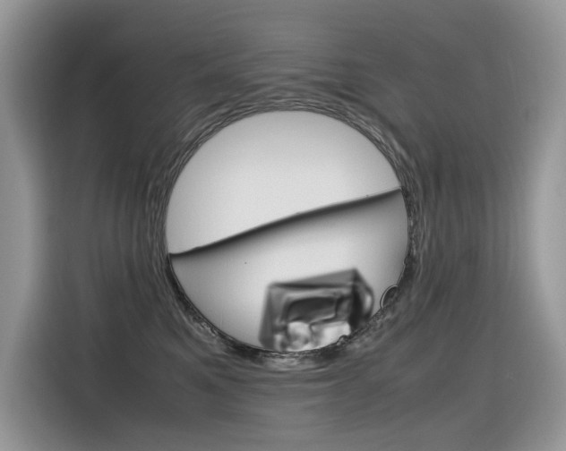 X0000116350521200912011041