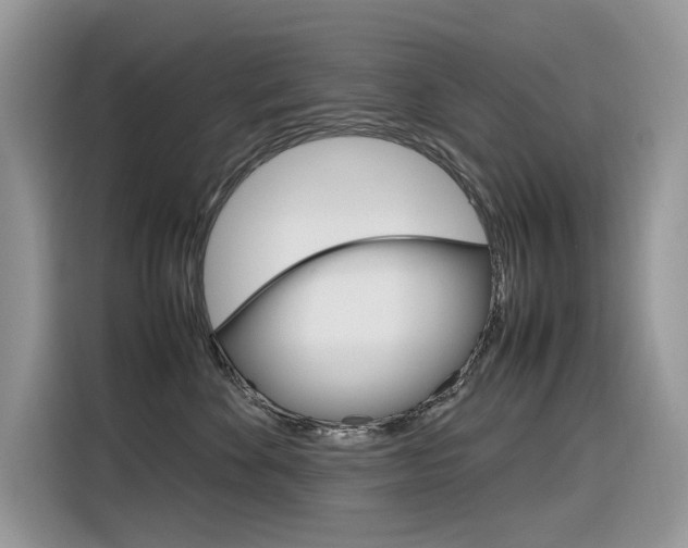 X0000116350524200912011041