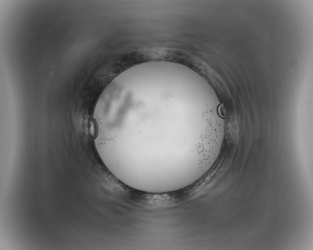 X0000116350525200912011041