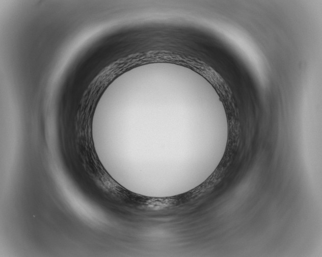 X0000116350526200912011041