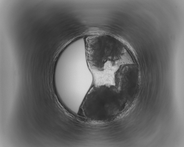 X0000116350529200912011040