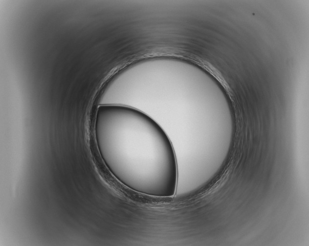 X0000116350530200912011040