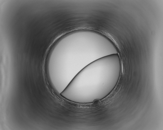 X0000116350531200912011040
