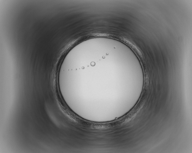 X0000116350533200912011040