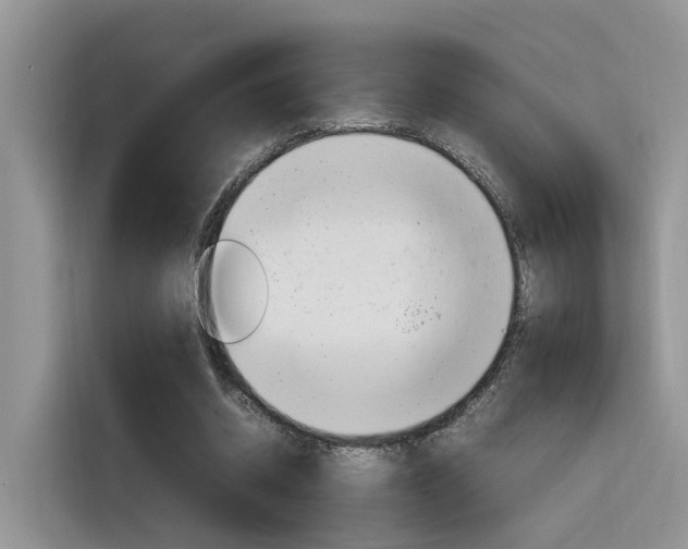 X0000116350534200912011040
