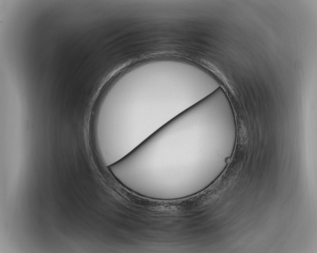 X0000116350535200912011040