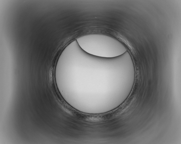 X0000116350537200912011040