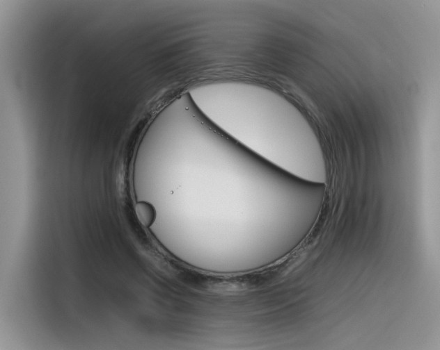 X0000116350542200912011040