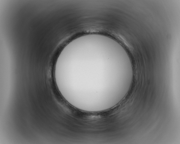 X0000116350543200912011040