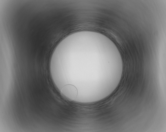 X0000116350546200912011040