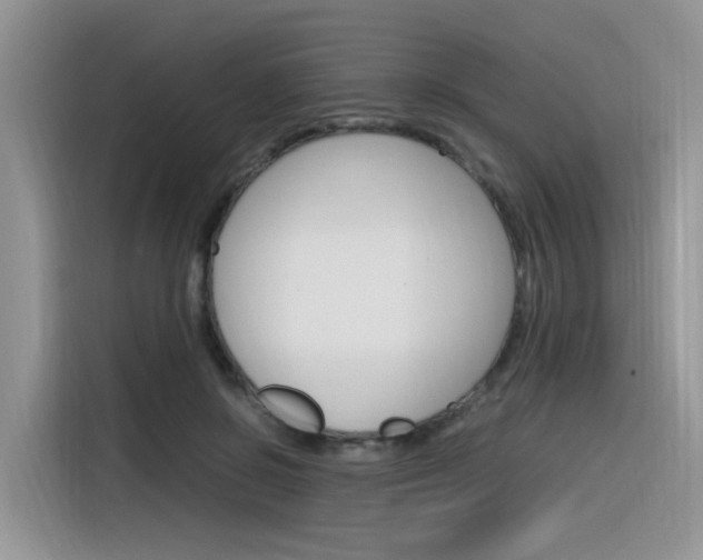 X0000116350550200912011040