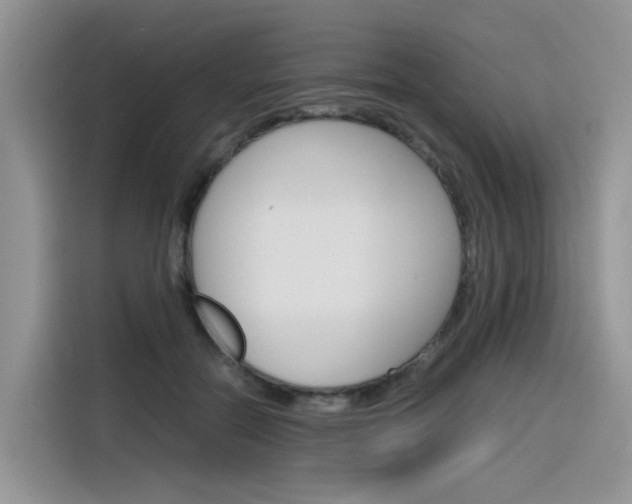 X0000116350554200912011040