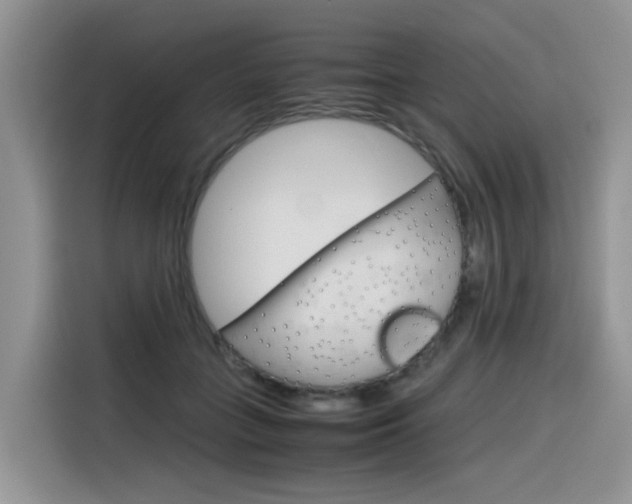 X0000116350555200912011040