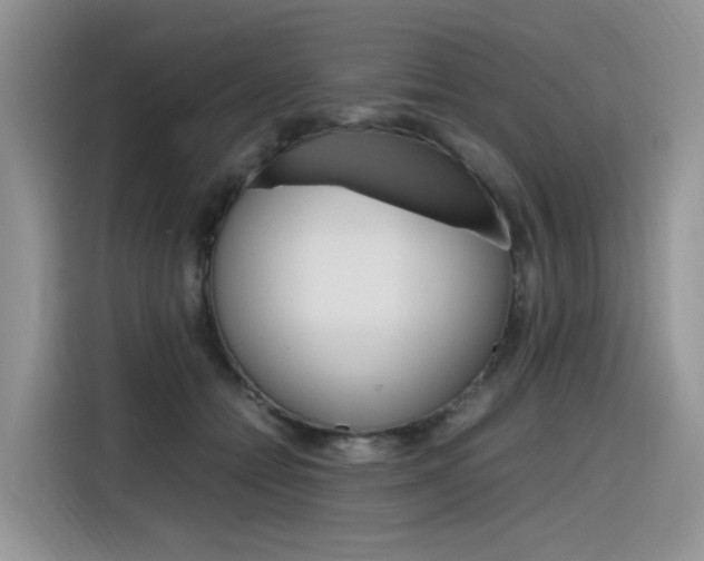X0000116350558200912011040