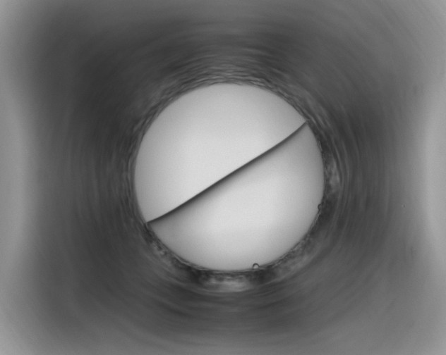 X0000116350559200912011040