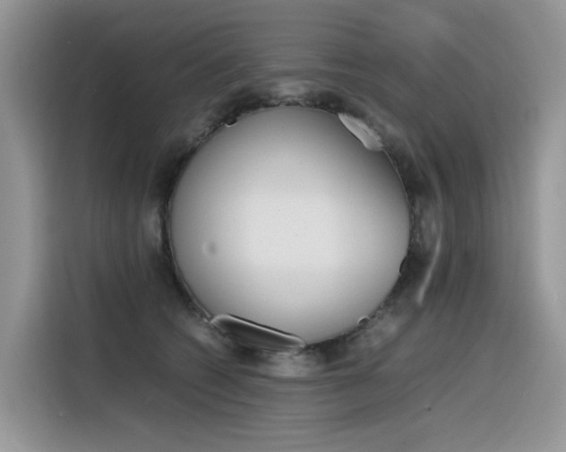 X0000116350562200912011040