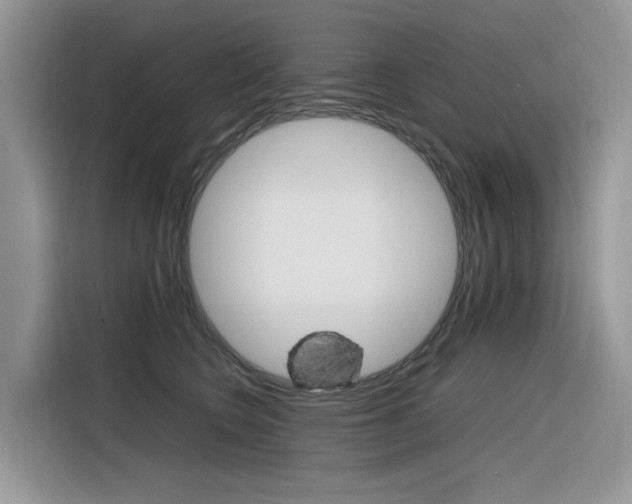 X0000116350566200912011040