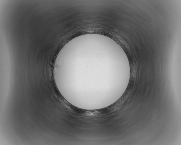 X0000116350569200912011041