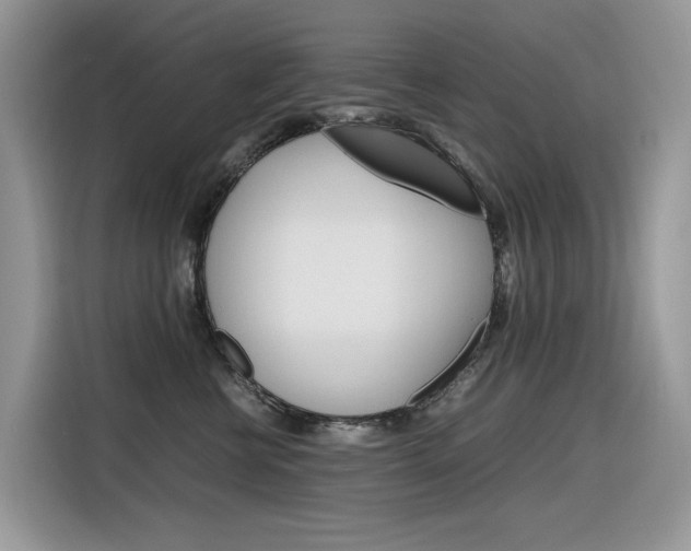 X0000116350570200912011041