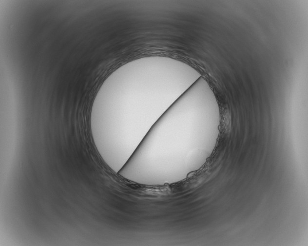 X0000116350571200912011041