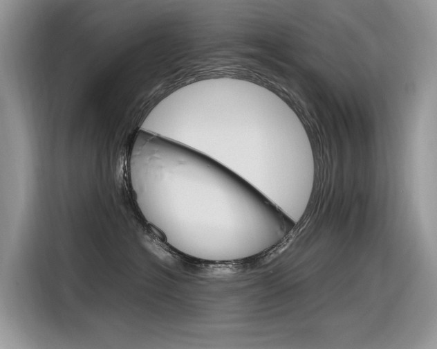 X0000116350574200912011041