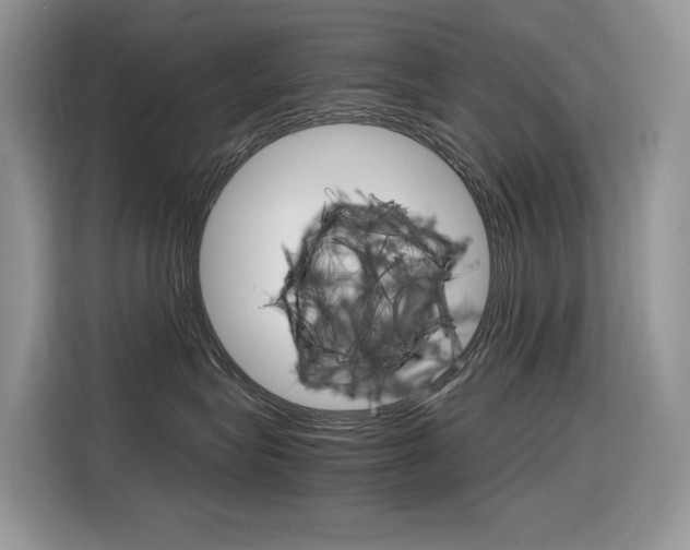 X0000116350575200912011041