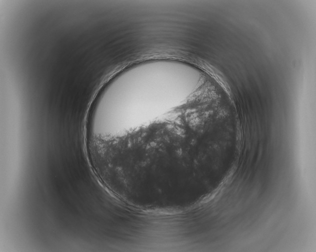 X0000116350578200912011040