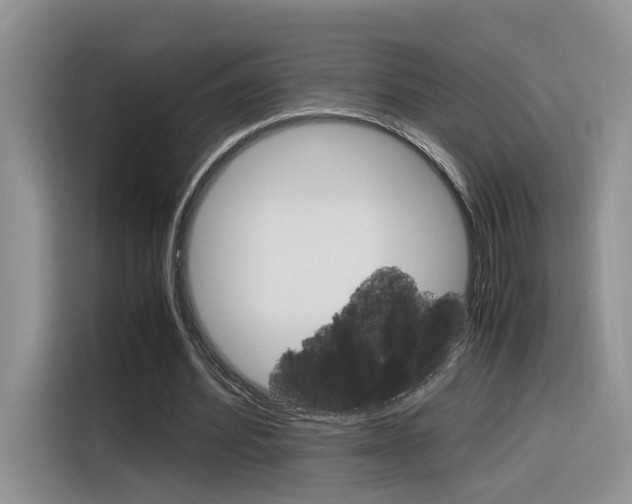 X0000116350580200912011040