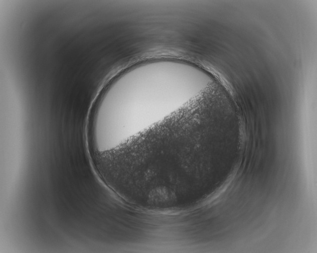 X0000116350582200912011040