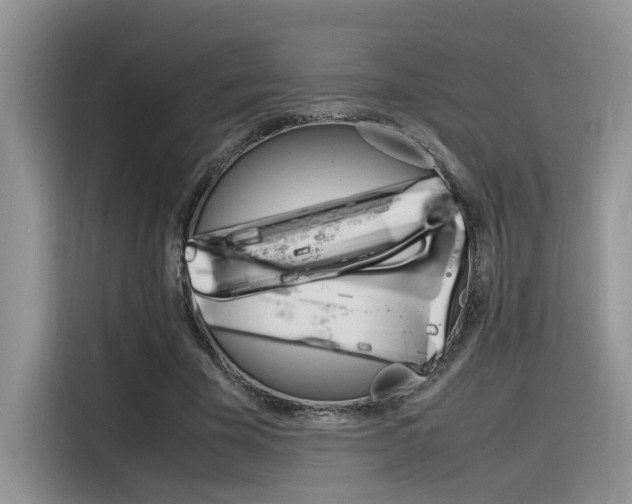 X0000116350585200912011040