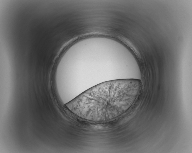 X0000116350588200912011040