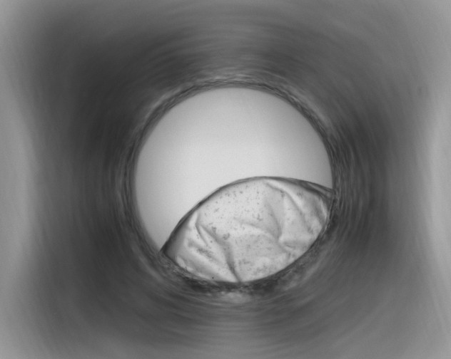X0000116350592200912011040