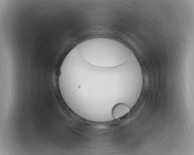 X0000116350594200912011040