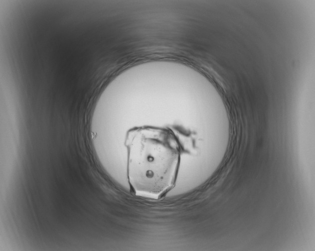 X0000116350597200912011040