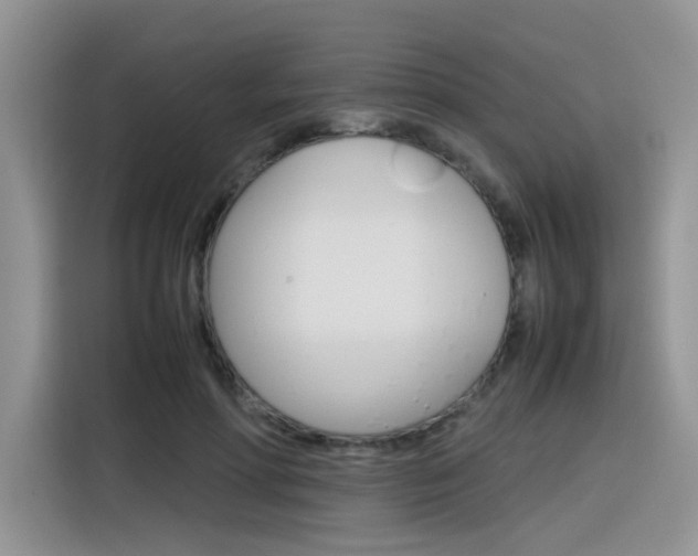 X0000116350598200912011040