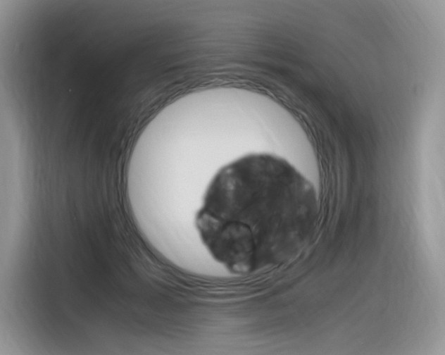 X0000116350605200912011040