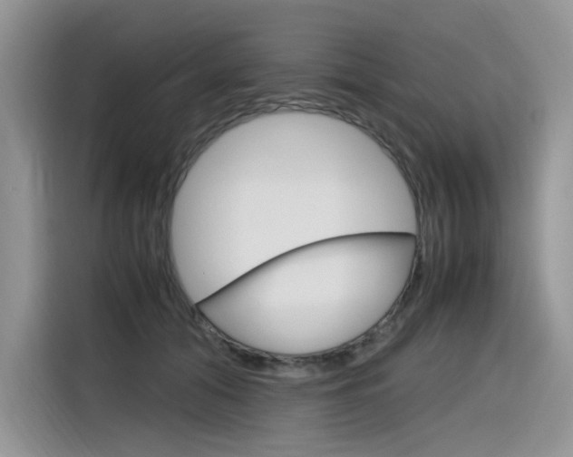 X0000116350608200912011040