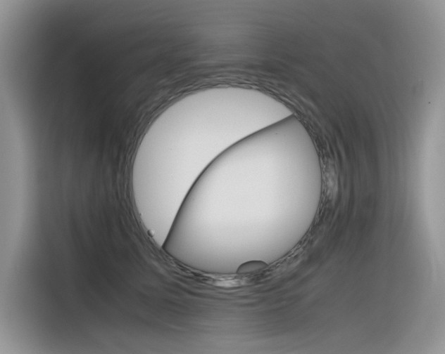 X0000116350611200912011040
