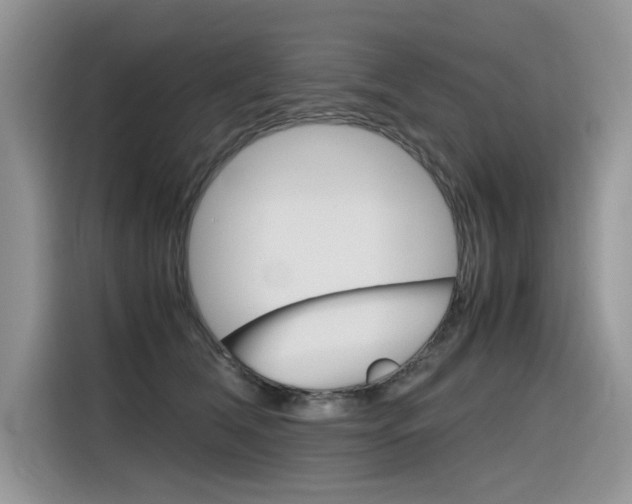 X0000116350612200912011040