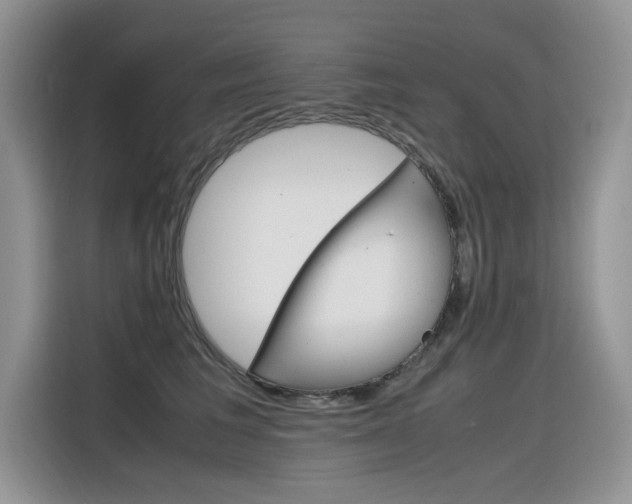 X0000116350613200912011039