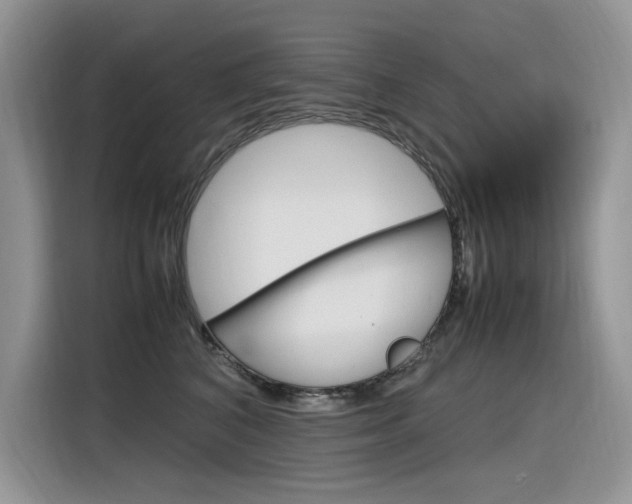 X0000116350616200912011039