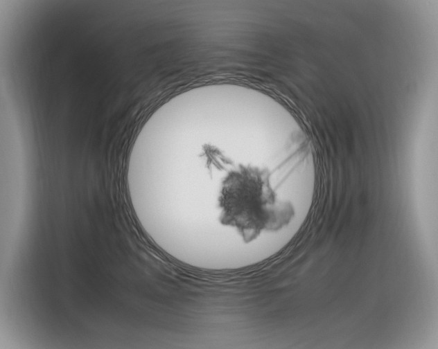 X0000116350617200912011039
