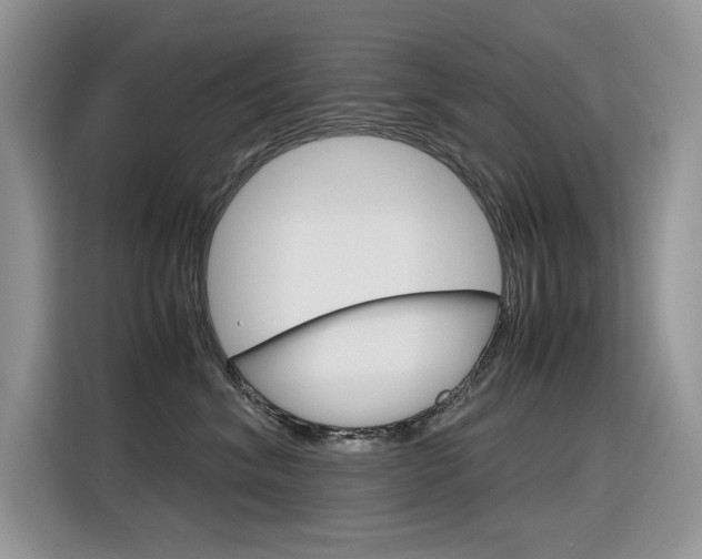 X0000116350620200912011039