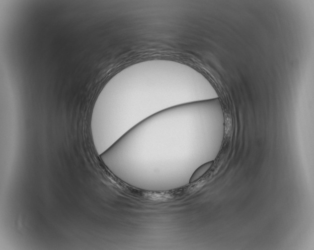 X0000116350621200912011039