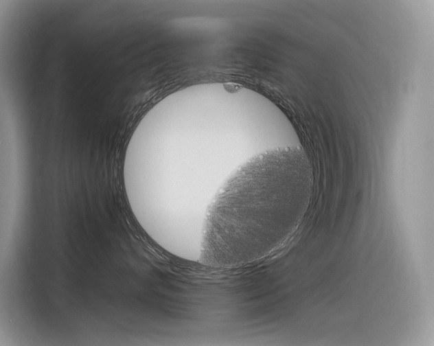 X0000116350624200912011039