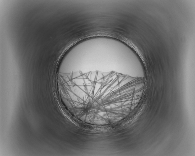 X0000116350625200912011039