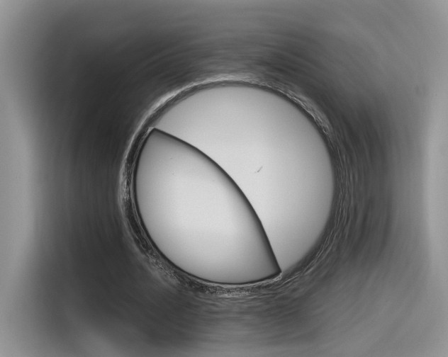 X0000116350628200912011039