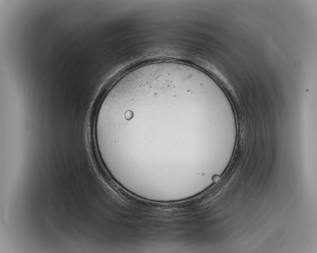 X0000116350629200912011039