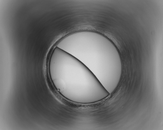 X0000116350630200912011039